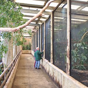 Upper gallery aviaries inside Tropical Realm @ Chester; 02.04.2015