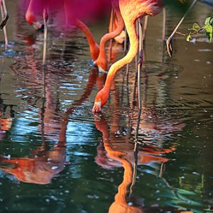 last rays of setting sun