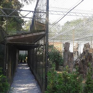 Bird of prey aviaries