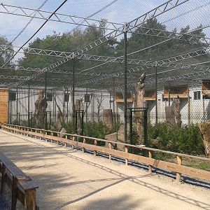 Bird of prey aviaries