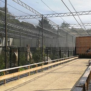 Bird of prey aviaries
