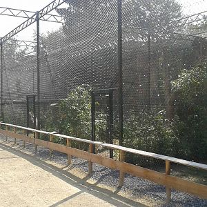 Bird of prey aviaries