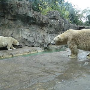 Sep. 2015 - Lords of the Arctic - Little One + Berit