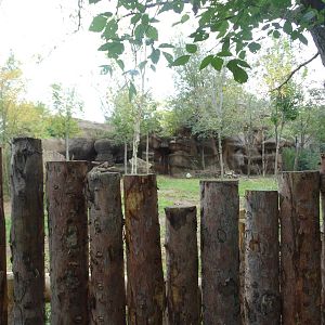 Sep. 2015 - Rhino Reserve - Okapi Exhibit (View at Average Height)