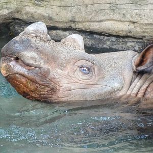 Sep. 2015 - Wildlife Canyon - Harapan