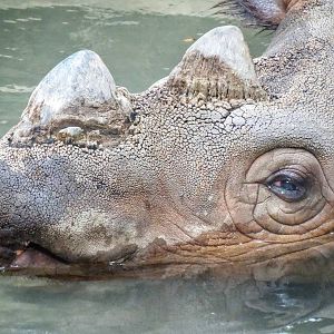 Sep. 2015 - Wildlife Canyon - Harapan