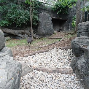 Sep. 2015 - Wildlife Canyon - Emu Exhibit