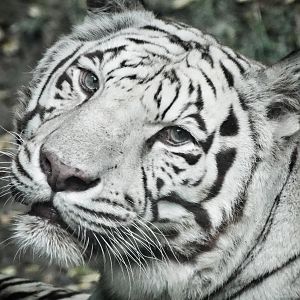 Sep. 2015 - Cat Canyon - Akere