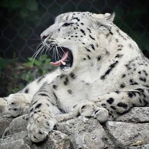 Sep. 2015 - Cat Canyon - Renji