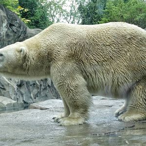 Sep. 2015 - Lords of the Arctic - Berit