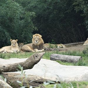 Sep. 2015 - Africa - John's Family 325 ft. Away