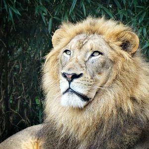 Sep. 2015 - Africa - John