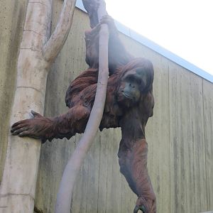 Great Ape House - Orangutan Sculpture