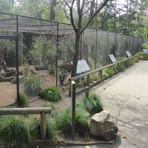 Australian aviaries