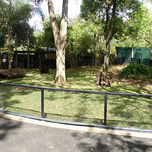Giant Tortoise exhibit
