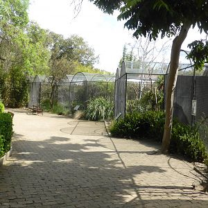 Australian aviaries