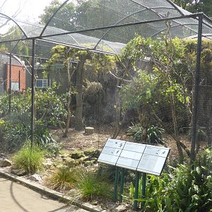 Australian aviaries