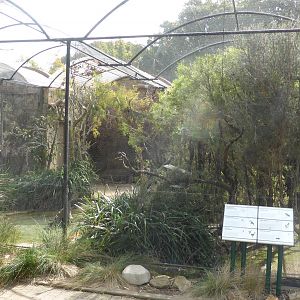 Australian aviaries