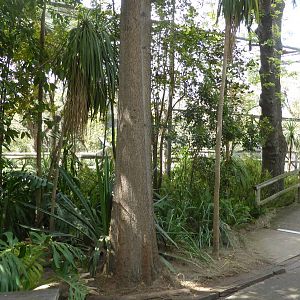 Walkthrough wetland aviary