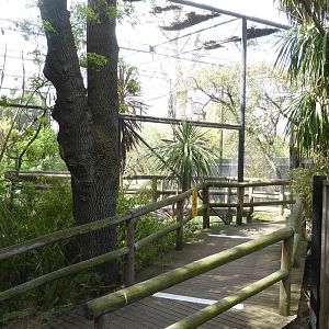 Walkthrough wetland aviary