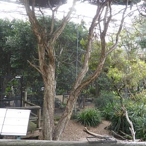 Walkthough wetland aviary, interior