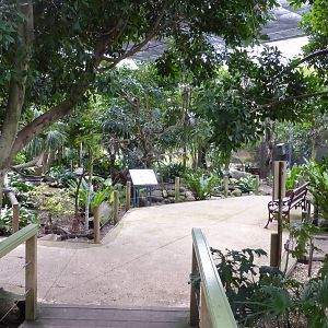 Walkthrough rainforest aviary