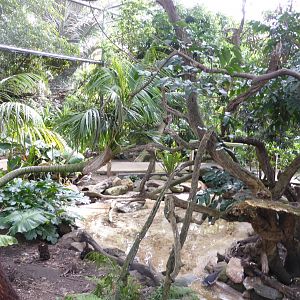 Walkthrough rainforest aviary