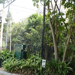 Walkthrough rainforest aviary, exterior