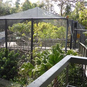 Walkthrough lory aviary