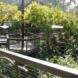 Walkthrough lory aviary interior