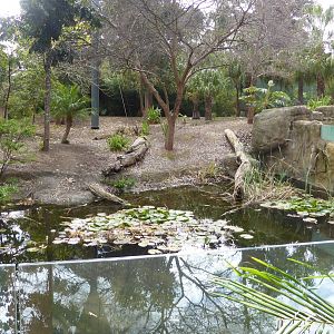 Second tiger exhibit
