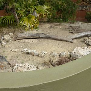 Rosenberg's Monitor exhibit