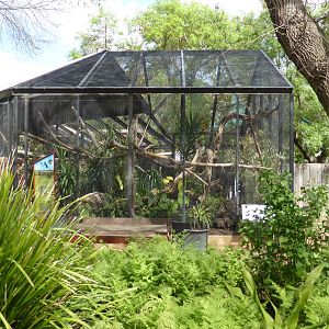 Parrot aviary