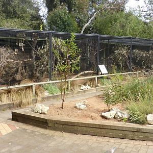 Mallee aviaries