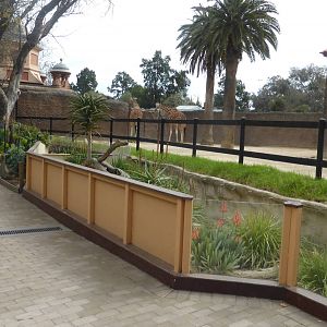 Meerkat/giraffe exhibit