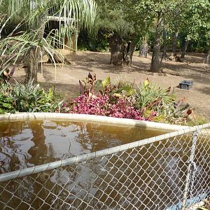 Brazilian Tapir/Mara exhibit