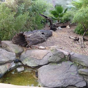 Otter exhibit