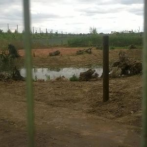 Giant Otter Construction - 20th Sept 2015