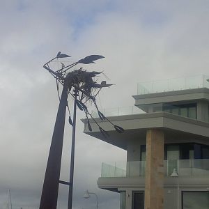 Osprey Nest on Street artwork