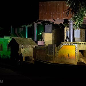 Aardvark (exhibit) : Colchester : 19 Sep 2015