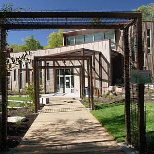 Treasures Of The Rainforest