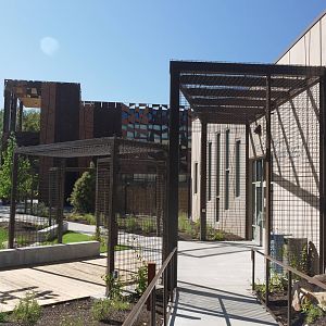 Treasures Of The Rainforest