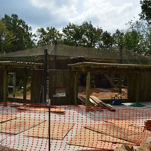 The Desert - Ocelot Exhibit Construction