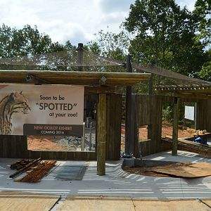 The Desert - Ocelot Exhibit Construction
