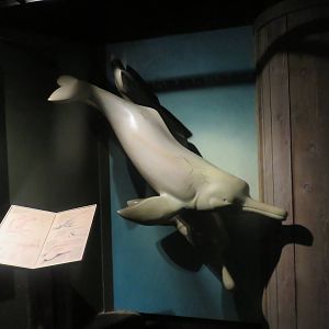 Amazonia - Life Size Boto Sculpture