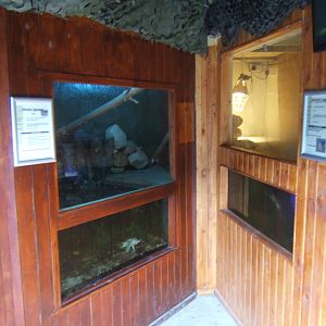 View of Turtle and caiman exhibits