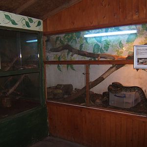 View of Reptile exhibits