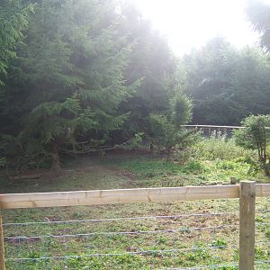 New Warthog enclosure