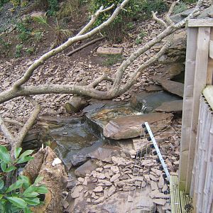 View of ASCO enclosure