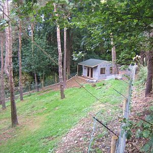 New Red-necked Wallaby exhibit under construction